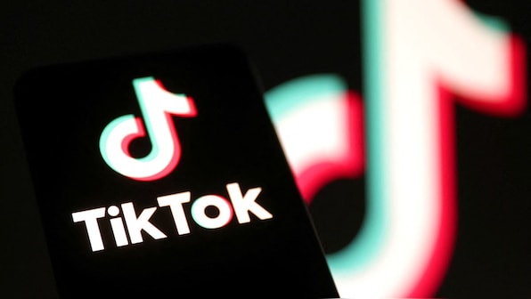 What is the controversial ‘chubby filter’ that TikTok has taken down?