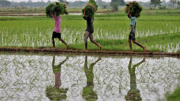 How the answer to limiting climate change might lie in farms