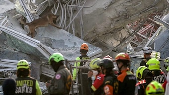 A search and rescue dog climbs on the rubble as recovery teams try to find trapped people at the site of an under-construction building collapse in Bangkok on March 29, 2025, a day after an earthquake struck central Myanmar and Thailand. The death toll from a huge earthquake that hit Myanmar and Thailand passed 1,000 on March 29, as rescuers dug through the rubble of collapsed buildings in a desperate search for survivors. Source: AFP