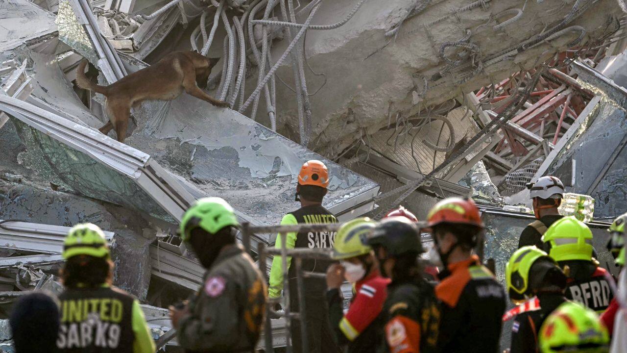A search and rescue dog climbs on the rubble as recovery teams try to find trapped people at the site of an under-construction building collapse in Bangkok on March 29, 2025, a day after an earthquake struck central Myanmar and Thailand. The death toll from a huge earthquake that hit Myanmar and Thailand passed 1,000 on March 29, as rescuers dug through the rubble of collapsed buildings in a desperate search for survivors. Source: AFP