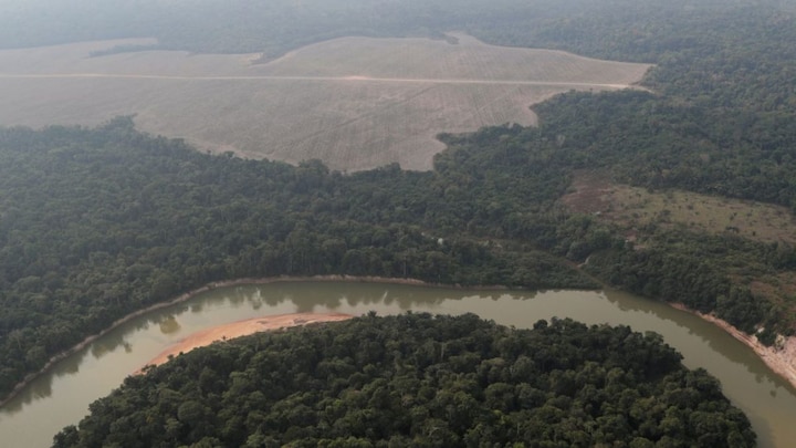 Brazil just fell thousands of trees to make way for grand COP30 climate summit