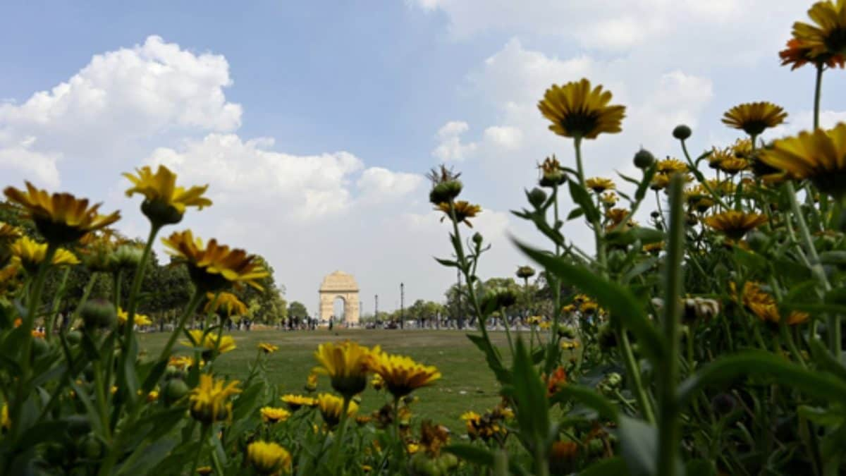 Holi weekend brings rare breathable air for Delhiites as AQI recorded at 85, lowest in 3 years for Jan-March period