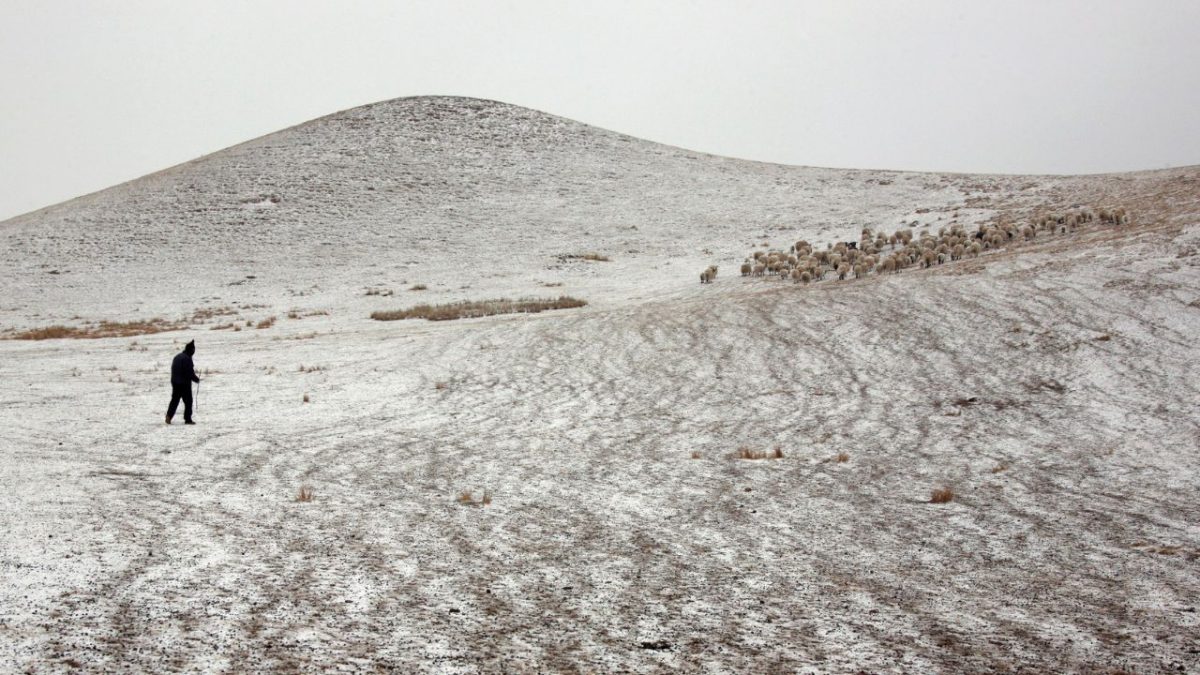 A Tibetan sheep herder wearing a balaclava leads his herd into a fenced field on the outskirts of Jintan township near the Qinghai Lake in Qinghai province, China March 11, 2009. Source: Reuters A Tibetan sheep herder wearing a balaclava leads his herd into a fenced field on the outskirts of Jintan township near the Qinghai Lake in Qinghai province, China March 11, 2009. Source: Reuters