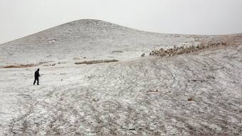 A Tibetan sheep herder wearing a balaclava leads his herd into a fenced field on the outskirts of Jintan township near the Qinghai Lake in Qinghai province, China March 11, 2009. Source: Reuters
