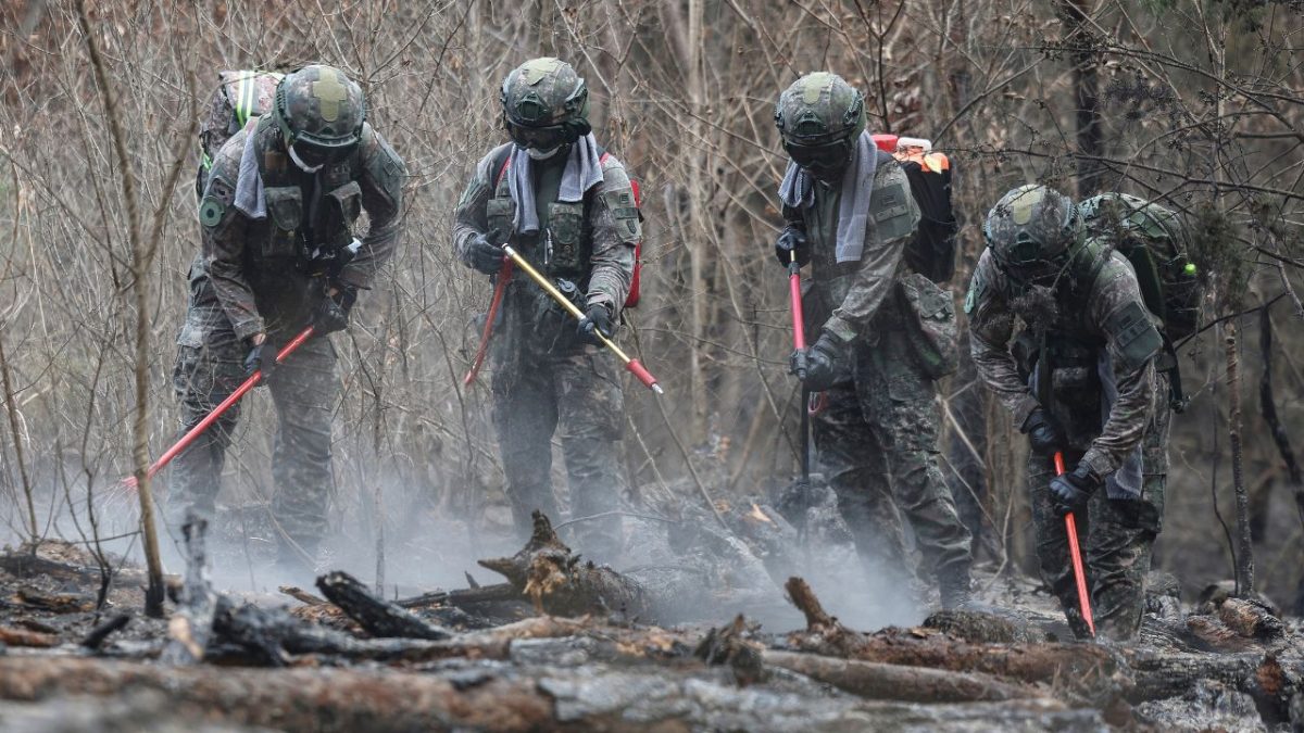 South Korean soldiers work to prevent the further spread of wildfires in Uiseong, South Korea, Thursday, March 27, 2025 (Source: AFP) South Korean soldiers work to prevent the further spread of wildfires in Uiseong, South Korea, Thursday, March 27, 2025 (Source: AFP)