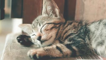 Representational image. Pexels