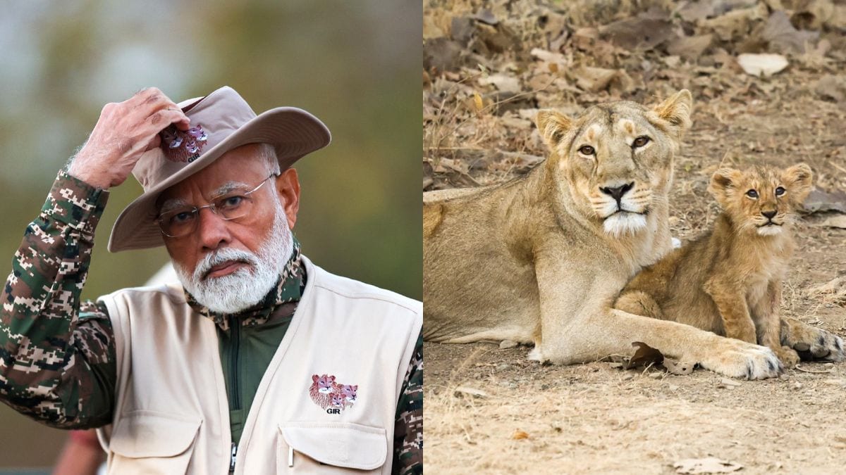 What is the Rs 2,900-crore Project Lion that PM Modi reviewed during visit to Gir?