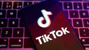 The TikTok logo is seen in this illustration. Reuters