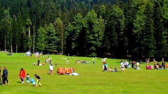 Baisaran is an expansive meadow ringed by dense pine forests and mountains and a favourite with visitors from across the country and the world. The area is known as 'mini-Switzerland.' Image courtesy: Pahalgam Development Authority
