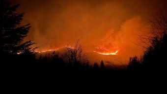 Fire crews are tackling a large wildfire spread across multiple parts of Galloway Forest Park. Galloway MRT
