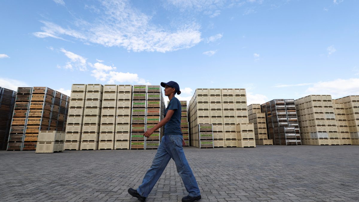 South African farmers urge tariff talks with US as citrus industry faces massive job losses South African farmers urge tariff talks with US as citrus industry faces massive job losses