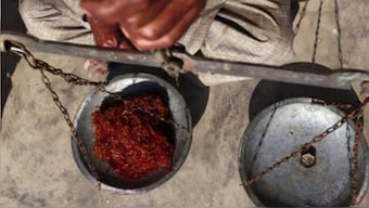 The price of saffron has surged 10 per cent over the past four days to hit Rs 5 lakh per kilo. 