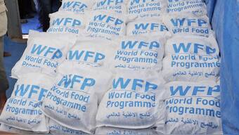 Food parcels provided by the World Food Program. File image/ AP