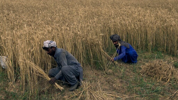 Pakistan's crop-sowing faces the brunt as India chokes Chenab flow causing major water shortage