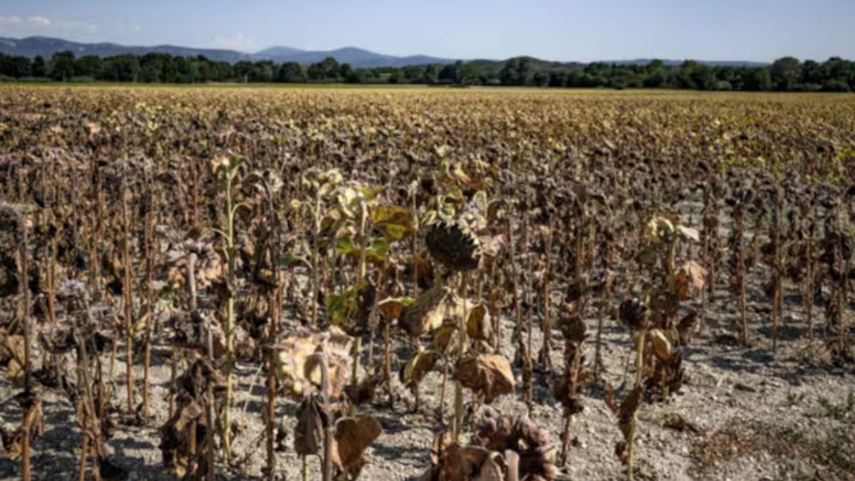 The burning Earth: From Japan to Spain, and Pakistan to Nigeria, June hottest ever in 12 countries The burning Earth: From Japan to Spain, and Pakistan to Nigeria, June hottest ever in 12 countries