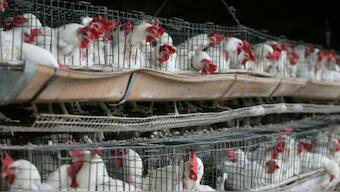 Representational Image - Reuters