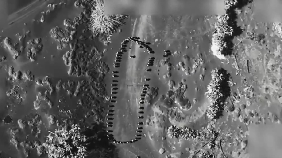 'Oops. They will never sink our ships again!': Trump shares chilling video of drone strike on Yemen's Houthis 'Oops. They will never sink our ships again!': Trump shares chilling video of drone strike on Yemen's Houthis