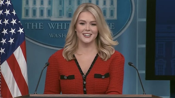 Did White House press secretary Karoline Leavitt wear a 'made in China' dress?