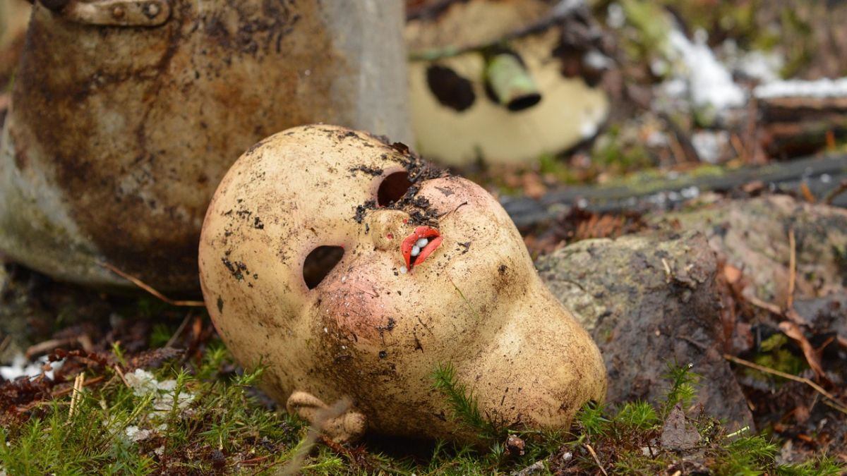 The doll had reportedly been burned before being stuffed into a blue Ikea bag. Pixabay/Representational Image
The doll had reportedly been burned before being stuffed into a blue Ikea bag. Pixabay/Representational Image