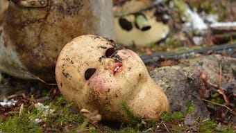 The doll had reportedly been burned before being stuffed into a blue Ikea bag. Pixabay/Representational Image
