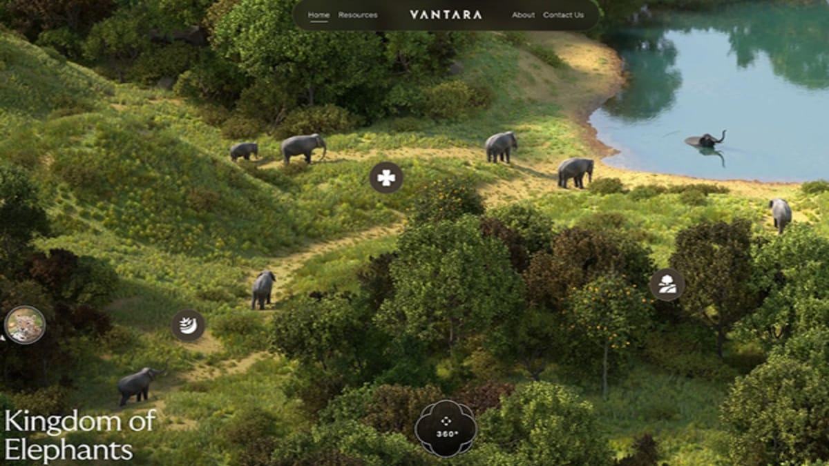 Vantara provides care to elephants that went berserk during Ahmedabad Rath Yatra