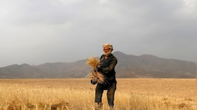MSP scrapped, Indus Water Treaty paused: How Pak farmers are real losers of Islamabad's terror policy