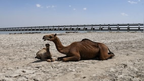Why Pakistan’s plan to challenge India’s suspension of Indus Waters Treaty won’t work