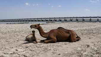The IWT was signed by India and Pakistan on September 19, 1960, after nine years of negotiations to determine the distribution of the waters of the Indus and its tributaries. File image/Reuters