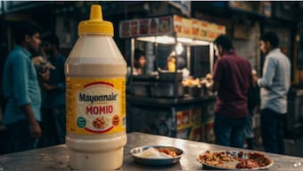 Tamil Nadu is the latest state to ban the sale and use of mayonnaise made with raw eggs, citing serious health concerns. AI-generated representative image