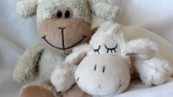 Why sleeping with a cuddly is good even for adults