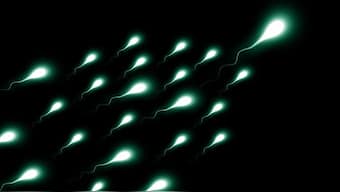 World’s first sperm race will take place at the Hollywood Palladium on April 25. Image for Representation. Pixabay
