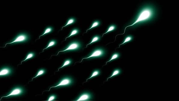 20 cm racetrack, two samples & one microscopic finish line: Inside the world's first sperm race to be held in the US