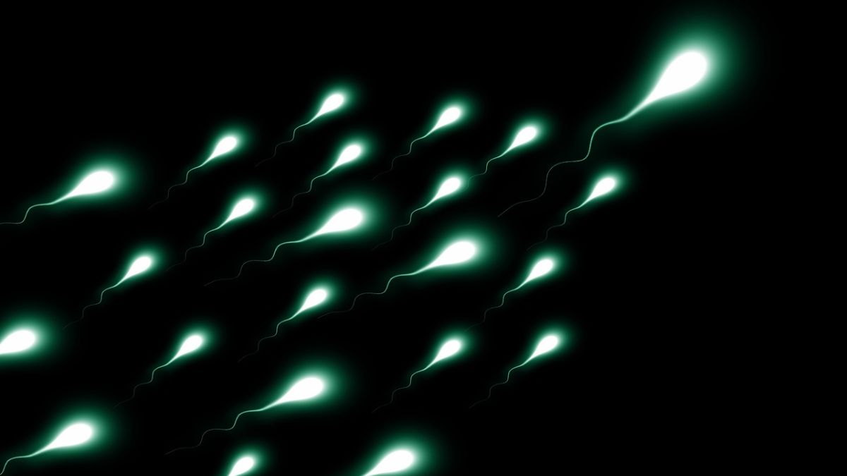 20 cm racetrack, two samples & one microscopic finish line: Inside the world's first sperm race to be held in the US 20 cm racetrack, two samples & one microscopic finish line: Inside the world's first sperm race to be held in the US