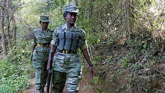 Sri Lanka may miss 2028 deadline to clear landmines laid by LTTE as Trump suspends aid. Image; AP