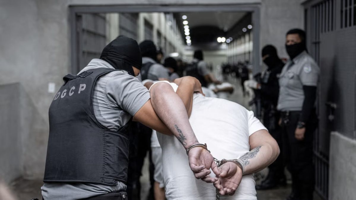 Is Immigration and Customs Enforcement becoming Trump's personal secret police? Is Immigration and Customs Enforcement becoming Trump's personal secret police?