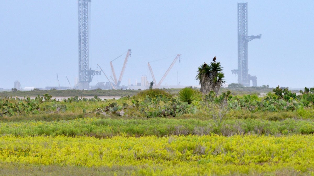 Elon Musk’s Starbase officially a city, raising beach access concerns