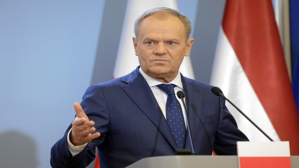 Poland scrambles military after Russian ‘shadow fleet’ vessel spotted near Baltic power cable