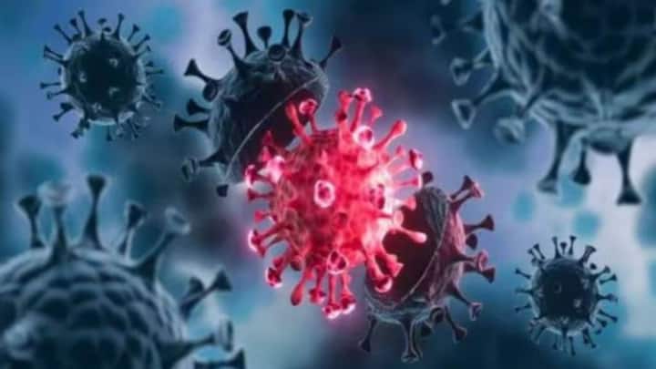 No clear answer on Covid-19 origin, WHO experts conclude after three-year-long probe