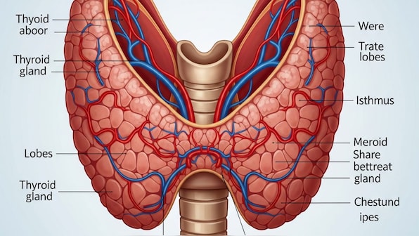 World Thyroid Day: Fatigue, hair loss, weight gain or anxiety? It could be your thyroid