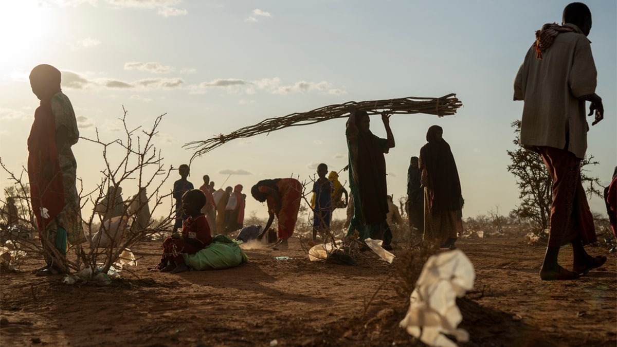 Global crisis deepens as internal displacement reaches record high of 83.4 mn in 2024: Report