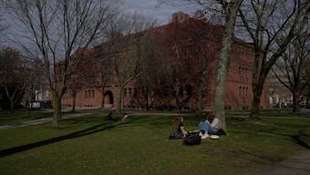 People sit on the grass at the campus of Harvard University in Cambridge, Massachusetts, US, on April 15, 2025. Reuter File