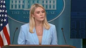 White House Press Secretary Karoline Leavitt during a press briefing on Friday. ANI