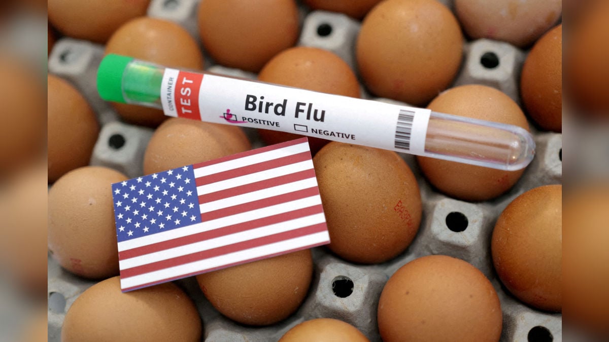 Bird flu in US: Experts wonder why America hasn’t reported a single case in 3 months