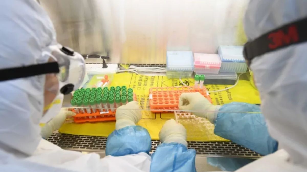 A new study led by scientists from the University of Edinburgh claims that Covid-19 did not originate in labs in China's Wuhan but most likely evolved naturally in Southeast Asia. Image for Representation. Reuters A new study led by scientists from the University of Edinburgh claims that Covid-19 did not originate in labs in China's Wuhan but most likely evolved naturally in Southeast Asia. Image for Representation. Reuters