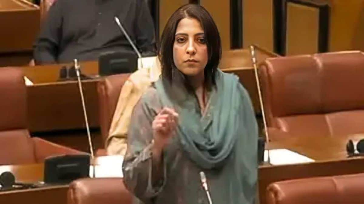 Who is Pakistani senator Palwasha Mohammad Zai Khan, who made controversial ‘Babri’ remark?
