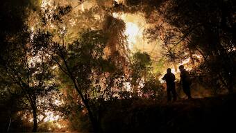 Firefighters try to tackle a wildfire burning on Chios island, Greece. Reuters