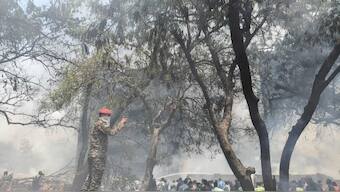 Around 40 people have been killed in the Ahmedabad plane crash. PTI