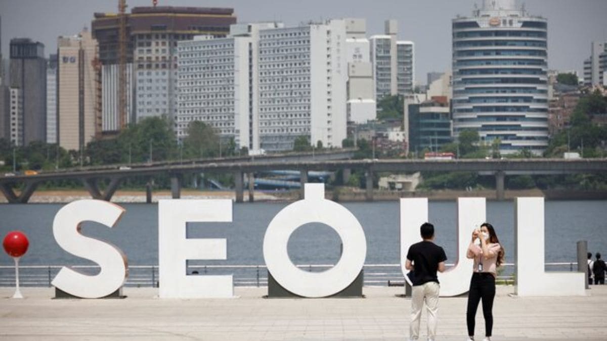 Watch | ‘Lovebugs’ swarm Seoul as South Korea capital debates pest control