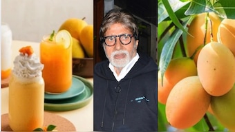 From Amitabh Bachchan to Riteish Deshmukh, why mangoes are irresistible and a hero ingredient for many dishes