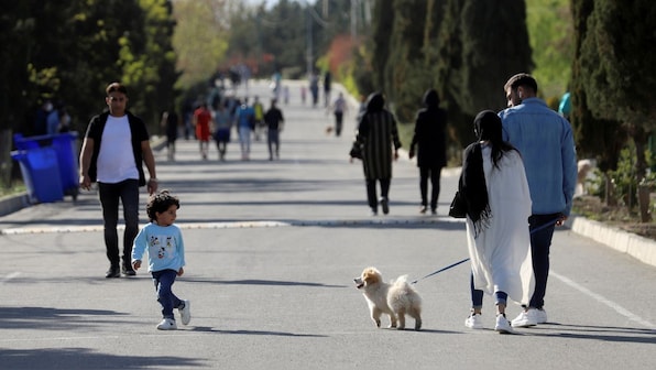 Why is Iran cracking down on dog-walking in public spaces?